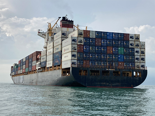 Professional survey inspection for dry bulk cargo and vessel readiness.