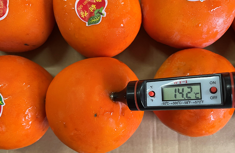 Technical survey inspection of a large industrial gear component.